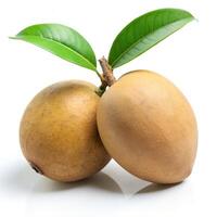 Sharp and Clear Image of a Natural Sapodilla on a Solid White Background Photo