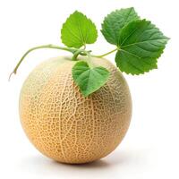 Sharp and Clear Image of a Natural Cantaloupe on a Solid White Background Photo