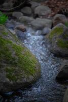 Flowing water through moss-covered rocks in a serene natural setting photo