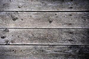 Weathered wooden planks create a rustic backdrop photo