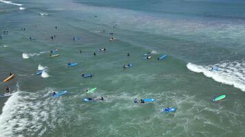 Aerial view of surf lessons with surfers paddling and riding small waves near the shore in Bali, Indonesia video
