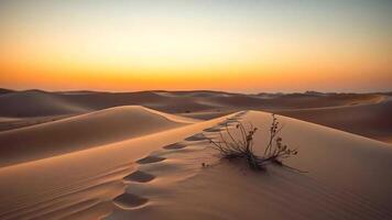 the desert at sunset photo