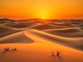 the sun rises over the sand dunes in the sahara desert photo