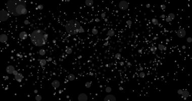 Falling particles. Bokeh. Abstract snow. Black background. video