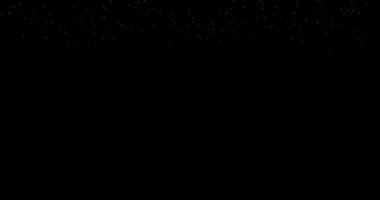 Falling particles. Bokeh. Abstract snow. Black background. 1 video
