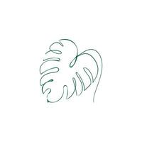 a palm leaf is drawn with a line vector