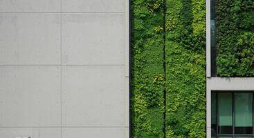 Living Wall Modern Architecture Concrete Facade Urban Design Green Building Sustainable Environment Copy Space photo