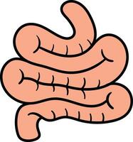 Digestive system intestinal structure illustration vector
