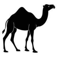 Black silhouette of a camel walking profile view isolated on white background vector