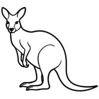 Minimalist kangaroo outline illustration standing with distinctive tail and ears design vector
