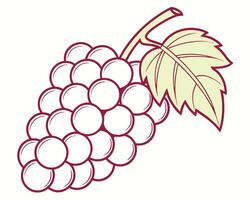 illustration of grape cluster with leaf outlined in burgundy on white background vector