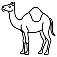 Cartoon style line art illustration of a camel animal design vector