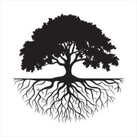 an illustration of a tree with roots vector