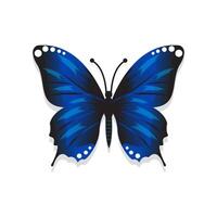 butterfly with blue gradient color vector