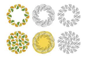 Lemon Lime Orange Citrus slices Outline and Colorful Circle Frames Copy space and Backgrounds Bundle. Isolated illustration Greeting Thematic Menu Cards Print and Promo leaflets, banner, poster vector