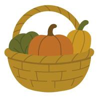 Wicker basket filled with colorful pumpkins and squash, flat illustration for harvest design. vector