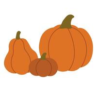Three orange pumpkins of different shapes and sizes, flat illustration for harvest design. vector