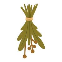 Flat illustration of a dried herb bundle tied with string, perfect for rustic harvest scenes. vector