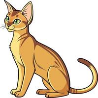 Graceful Abyssinian Cat with Sleek Coat and Alert Expression Available on EPS File vector