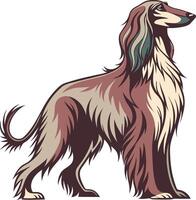 Elegant Afghan Hound Dog Available on EPS File vector