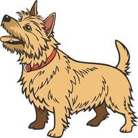 Adorable Australian Terrier Standing Proud Available on EPS File vector