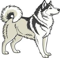 Majestic Alaskan Malamute Dog with Fluffy Coat Available on EPS File vector