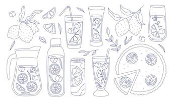 Lemonade and Citrus Fruit Doodle Set vector