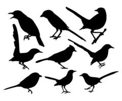 bird silhouette design collection with white background collection vector