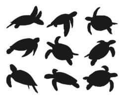 silhouette animal turtle collection set on white background vector