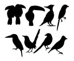 bird silhouette design collection with white background vector
