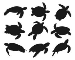 silhouette animal turtle collection set simple design vector