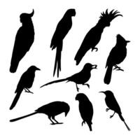 bird silhouette design collection with white background set vector