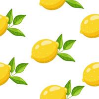 Simple seamless pattern featuring bright yellow lemons and green leaves on white background in a flat style. vector
