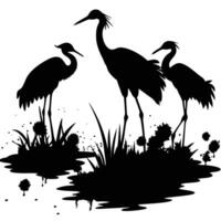 Silhouette of Cranes Standing in Wetland Marsh with Grass and Mud Pools vector