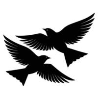 Silhouette of Two Birds Flying Upward Against a Plain Background, Detailed Wings and Feathers vector