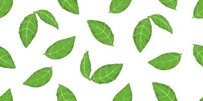 Green salad leaves seamless pattern illustration. Different basil leaf repeated ornament. Design for textil, fabric, background and vegetarian packaging. Eco backdrop. vector