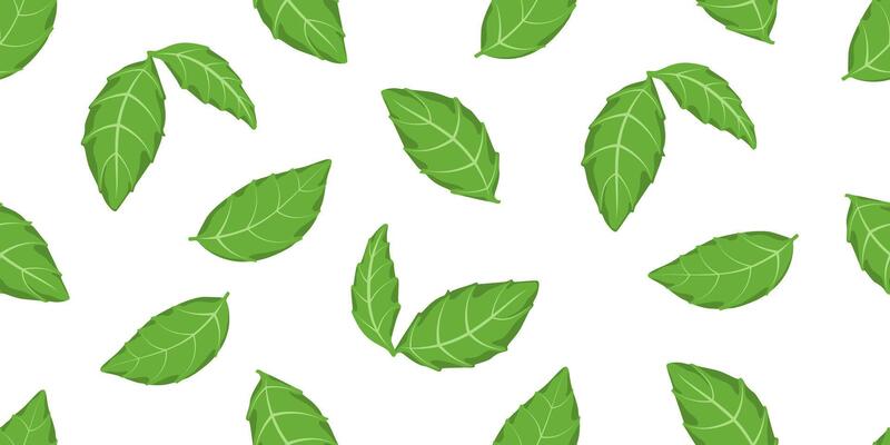 Green salad leaves seamless pattern illustration. Different basil leaf repeated ornament. Design for textil, fabric, background and vegetarian packaging. Eco backdrop.