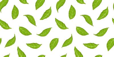Green leaves seamless pattern illustration. Different basil or herb salad leaf repeated ornament. Design for textil, fabric, background and vegetarian packaging. Eco backdrop. vector