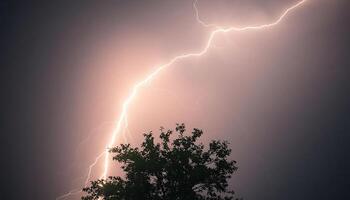 lightning bolt hitting over a tree in a dark sky photo