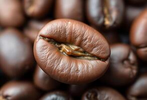 close up of a coffee bean with a bite taken out of it photo