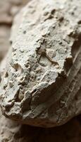 close up of a rock with small holes in it photo