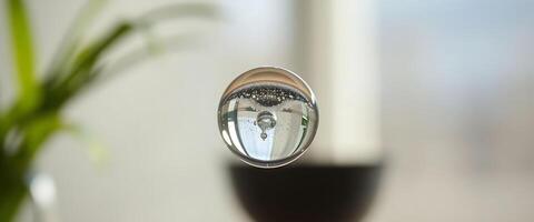 close up of a mirror with a plant in the background photo