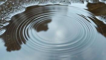 water drop with a reflection of a tree in it photo