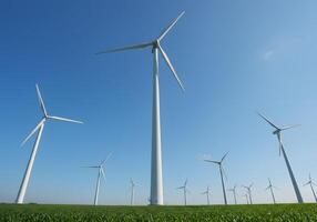 A group of wind turbines in a field photo
