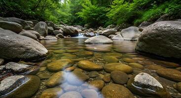 A stream running through a forest with rocks and trees photo
