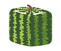 Flat Design Square Watermelon Illustration. Japanese Style Whole Green Fruit with Geometric Shape on white Background for Summer Graphics, Food Design, and Creative Projects. vector