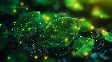 A mesmerizing scene of green leaves interwoven with futuristic digital circuitry. photo