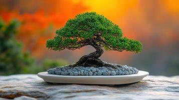 A serene bonsai tree showcasing its delicate form, captured against a vibrant blurred background. photo