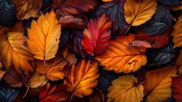 A close-up shot of vibrant, colorful autumn leaves in various shades and textures. photo