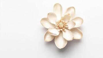Realistic magnolia blossom on dark background for elegant floral design photo